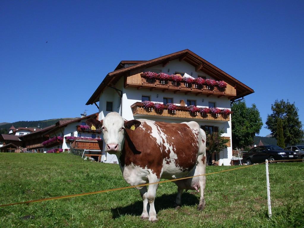 Rosenheim Appartement *